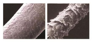 محلول پروپلکس رف تقویت کننده مو 