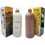 پک شامپو و ماسک مو دنس‌هیر فری سولفات