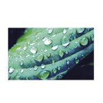 سرم آبرسان هیدرا جنیوس لورآل پوست مختلط تا چرب