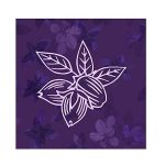 سرم براق کننده مو آسی Aussie