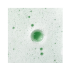 فوم تمیز کننده کدلی وینوکلین 50میل