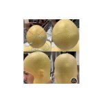 کلاه مش حرفه‌ای رابسون RP