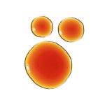 سرم آنتی اکسیدانی پیکنوژنول 5% اوردینری (15 میل)