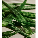 تونر آلوورا (آلوئه ورا) بادی‌شاپ (250‌میل)