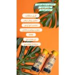 شامپو آرگان کندی‌بیوتی سایز کوچک (آنتی‌فریز) - Image 3