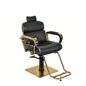 صندلی آرایشگاهی رزونال BX-3079B-2