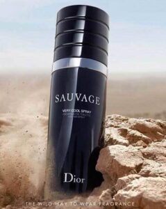  ادوتویلت مردانه دیور ساواج وری کول اسپری (100میل) - Image 2