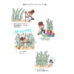 شامپو مراقبتی اسکالپ Beaua (مدل ساندیسی)