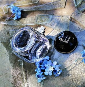 ادوپروفیوم مردانه دانهیل سنچری بلو (135میل) - Image 3