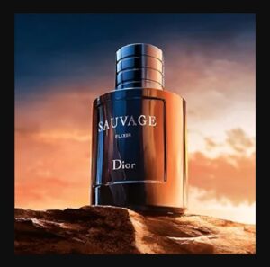  ادوپرفیوم مردانه دیور ساواج الکسیر (100میل) - Image 2