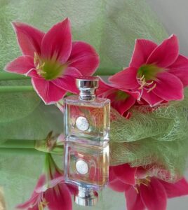 ادوپرفیوم زنانه ورساچه پور فم (100میل) - Image 3