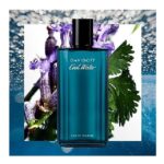 ادوتویلت مردانه دیویدوف کول واتر (200میل) - Image 3