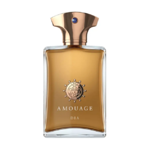ادوپرفیوم مردانه آمواژ دیا (100میل)