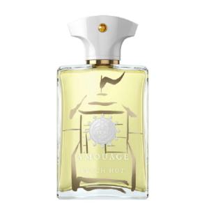 تستر اورجینال ادوپرفیوم مردانه آمواژ بیچ هات (100میل)