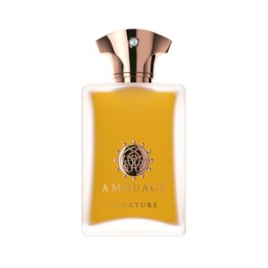 تستر اورجینال ادوپرفیوم مردانه آمواژ اورتور (100میل)