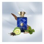 تستر اورجینال ادوپرفیوم مردانه آمواژ اینترلود (100میل) - Image 3