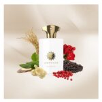 ادوپرفیوم مردانه آمواژ هانر (100میل) - Image 3