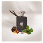 ادوپرفیوم زنانه و مردانه آمواژ اوپوس سیزده سیلور عود (100میل) - Image 3