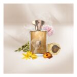 ادوپرفیوم مردانه آمواژ دیا (100میل) - Image 3