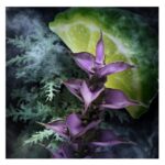 ادوتویلت مردانه دیویدوف چمپیون (90میل) - Image 5