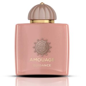 ادوپرفیوم زنانه و مردانه آمواژ گایدنس (100میل)