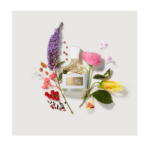 تستر اورجینال ادکلن ادوپرفیوم زنانه کرید اونتوس (75میل) - Image 3