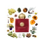 ادوپرفیوم زنانه آمواژ جورنی (100میل) - Image 4