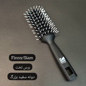 برس تخت دونه سفید بزرگ فینی/صیام