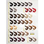 رنگ‌مو پیگو