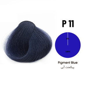 پیگمنت تونی سری شماره P11