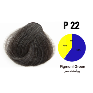پیگمنت تونی شماره P22