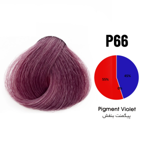 پیگمنت تونی شماره P66