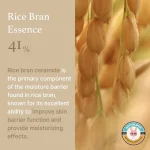 کرم مرطوب کننده و روشن کننده I’m From Rice - Image 3