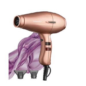 سشوار پرنسلی مدل PR262AT