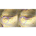 کرم دور چشم کلاژن لیفتینگ تیرتیر - Image 4