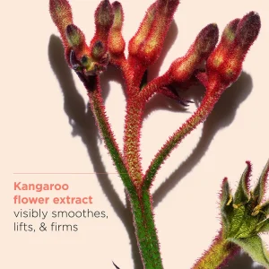 کرم‌شب ضدچروک و لیفتینگ اکسترا‌فرمینگ کلارنس